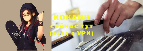 трава Наволоки